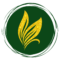 Liya Wellness